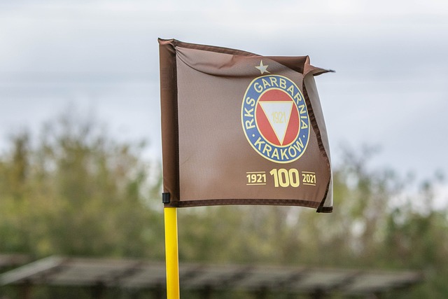 色的配合和 色的配合和