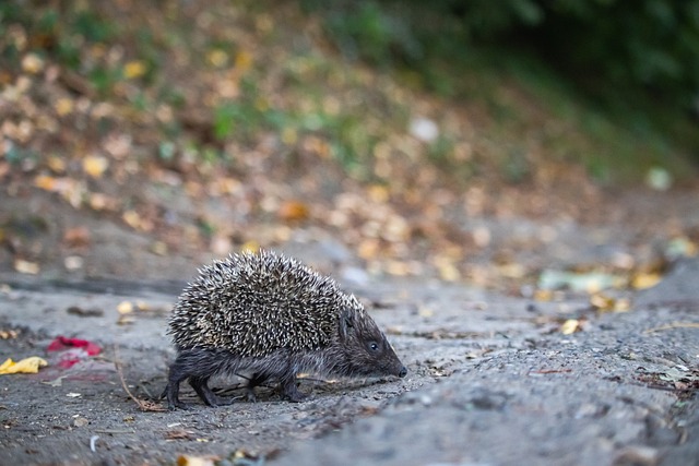 况不甚理想 况不甚理想