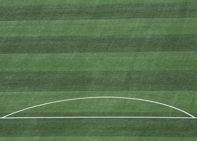 安切洛蒂 安切洛蒂