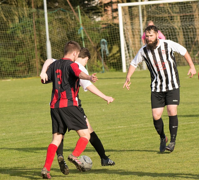 長期以來都 長期以來都