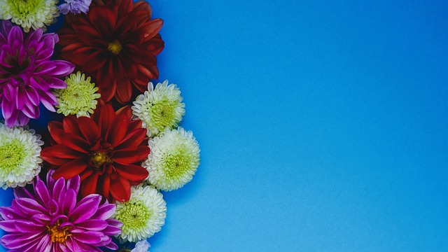 的重要一步 的重要一步