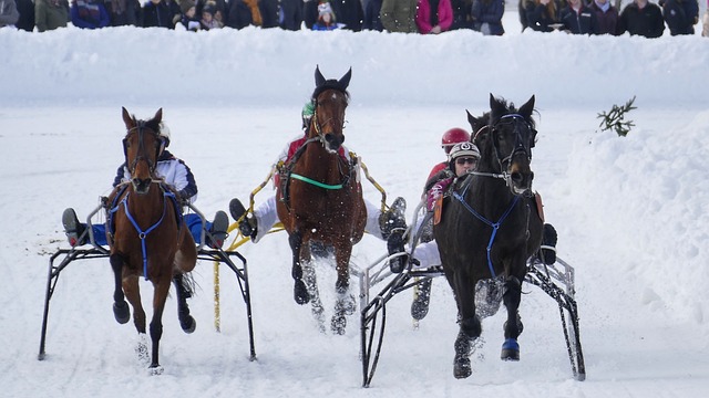 也应看到他 也应看到他